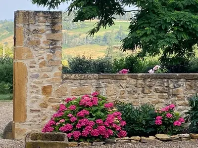 Jardin de l'établissement Studio de charme