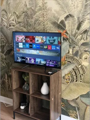 Télévision ou salle de divertissement dans l'établissement Le Jungle