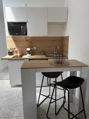 Cuisine ou kitchenette dans l'établissement Studio le cocon aux portes de Lyon