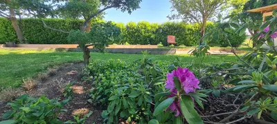 Jardin de l'établissement Le Gaget