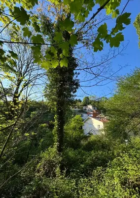 Paysage naturel près de la maison de vacances