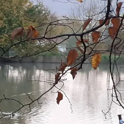 Vue sur la rivière ou le fleuve situé(e) à proximité de la ferme
