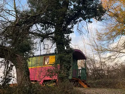 Jardin de l'établissement Gîte du Haras du Suet