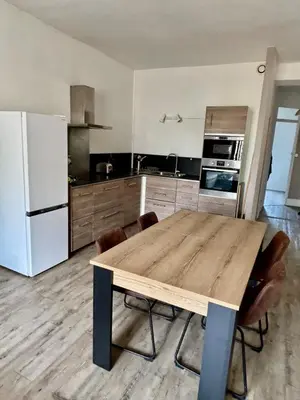 Cuisine ou kitchenette dans l'établissement Beautiful Renovated Apartment, Internet, Tram