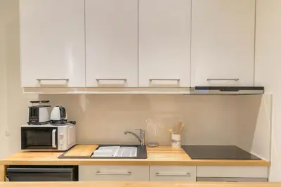 Cuisine ou kitchenette dans l'établissement Superbe appartement sur la Presqu'île - Lyon