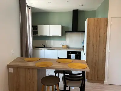 Cuisine ou kitchenette dans l'établissement Studio indépendant climatisé à Lyon 8