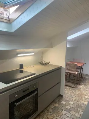 Cuisine ou kitchenette dans l'établissement Appartement Vieux Lyon Terrasse
