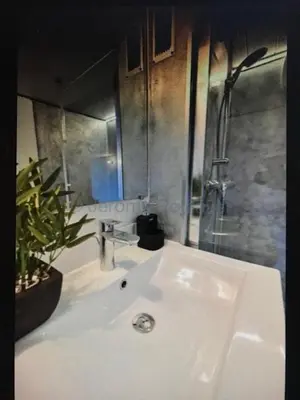 Salle de bains dans l'établissement Duplex,centre Croix Rousse avec parking