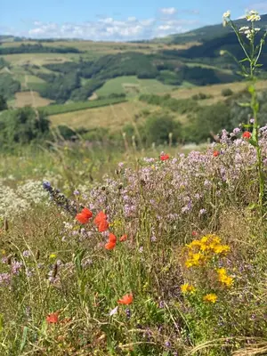 Paysage naturel près de l'appartement