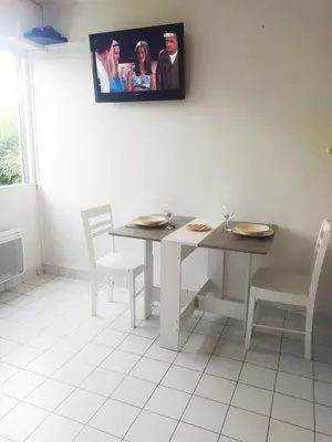 Télévision ou salle de divertissement dans l'établissement Studio Calme 3pers 2 couchages au Coeur de Villefranche proche Lyon