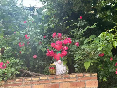 Jardin de l'établissement La coutoisière