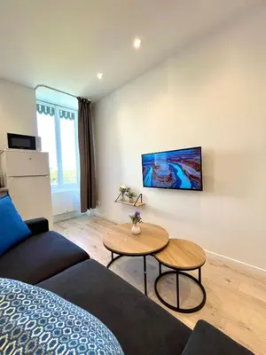 Télévision ou salle de divertissement dans l'établissement Duplex urbain proche centre-ville de Lyon - 6 pers