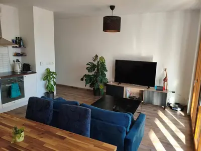 Télévision ou salle de divertissement dans l'établissement Élégant T2 au cœur de Confluence