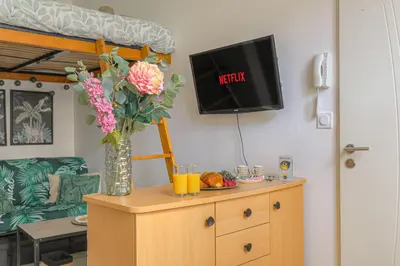 Télévision ou salle de divertissement dans l'établissement studio jungle