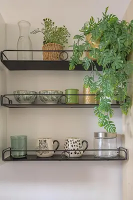 Plan de l'établissement studio jungle