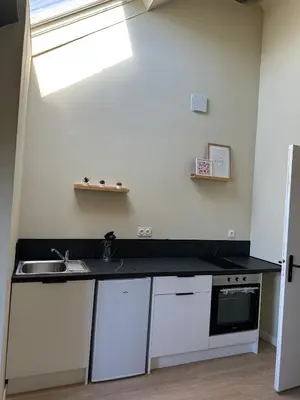 Cuisine ou kitchenette dans l'établissement Appartement gare chateaucreux