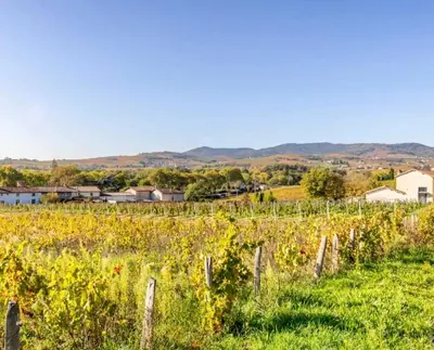 Paysage naturel près de l'appartement