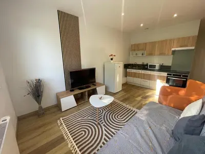 Cuisine ou kitchenette dans l'établissement T2 Sweet Horizon 2 - B at Home - Stade Groupama LDLC