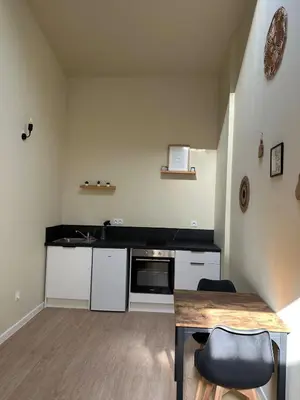 Cuisine ou kitchenette dans l'établissement Appartement cosy gare chateaucreux