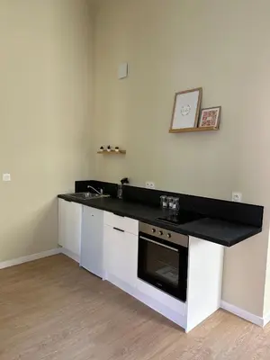 Cuisine ou kitchenette dans l'établissement Appartement 2 chambres gare chateaucreux