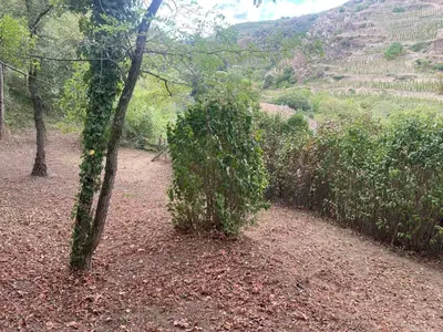 Paysage naturel près de l'appartement