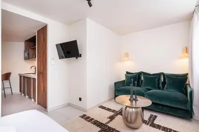 Télévision ou salle de divertissement dans l'établissement Wabi Sabi, Appartement Premium au Cœur de Lyon