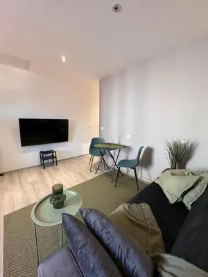 Télévision ou salle de divertissement dans l'établissement Cozy apartment 15 minutes from Lyon