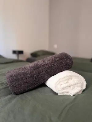 Un ou plusieurs lits dans un hébergement de l'établissement Cozy apartment 15 minutes from Lyon