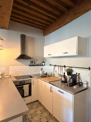Cuisine ou kitchenette dans l'établissement Le cosy quai de saône