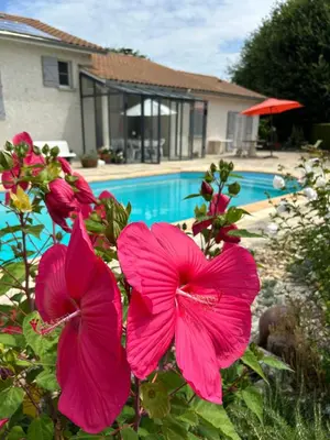 Piscine de l'établissement Logement climatisé, piscine, 4 personnes ou située à proximité