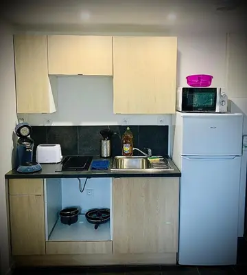 Cuisine ou kitchenette dans l'établissement 302 Bron galerie lafayette