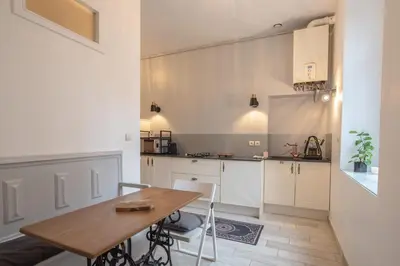 Cuisine ou kitchenette dans l'établissement Quiet studio with garden near Part-Dieu