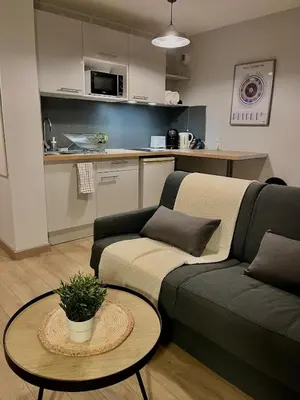 Cuisine ou kitchenette dans l'établissement Charmant Studio Villeurbanne, Proche de Lyon