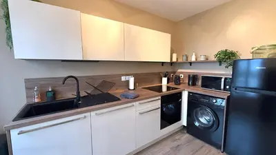 Cuisine ou kitchenette dans l'établissement Le Gingko