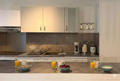 Cuisine ou kitchenette dans l'établissement L'Épicurien Wilson - Parking gratuit, Wifi, Calme