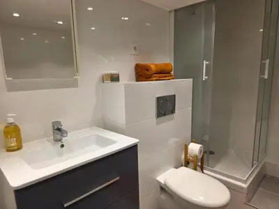 Salle de bains dans l'établissement Cosy T2 bien placé proche de PartDieu dans Lyon 6