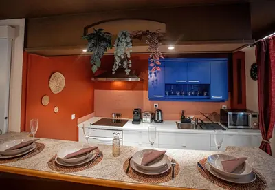 Cuisine ou kitchenette dans l'établissement Expo & Event Stay Eurexpo LDLC Groupama Stadium OL