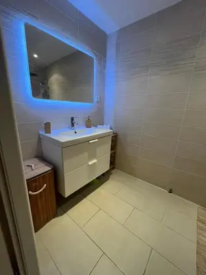 Salle de bains dans l'établissement Maison à Chasse sur Rhône avec parking clos