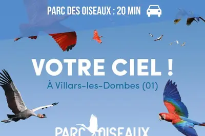 Plan de l'établissement Le 101 -T2 avec terrasse, commerces & gare à pied