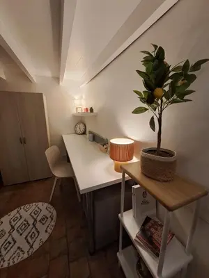 Plan de l'établissement Studio spacieux entièrement refait à neuf en plein centre-ville