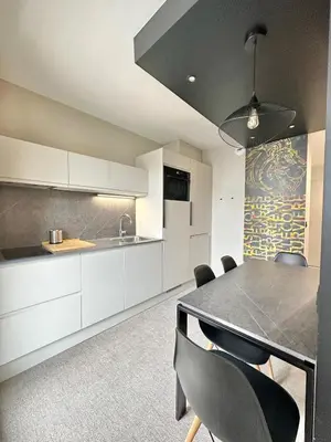 Cuisine ou kitchenette dans l'établissement Balcon et Design urbain - Lyon et Metro