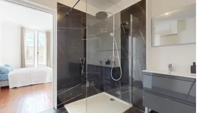 Salle de bains dans l'établissement Somptueux appartment Lyon-brotteaux