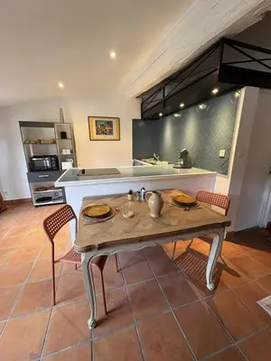 Cuisine ou kitchenette dans l'établissement Studio Provençal au centre-ville de Vienne
