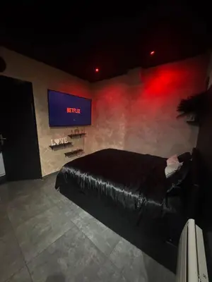 Télévision ou salle de divertissement dans l'établissement La suite cosy