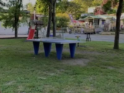 Jardin de l'établissement Charmant Mobil-home 4 Pers avec Terrasse à Chazelles-sur-Lyon - API-1-52-1693