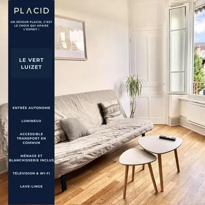 Coin salon dans l'établissement Le Vert Luizet - Lumineux, Wifi, TV connectée