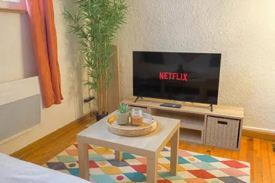 Télévision ou salle de divertissement dans l'établissement T1 Cozy Lyon 1er CENTRE Proche métro & Transports