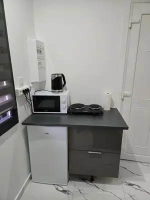Cuisine ou kitchenette dans l'établissement Cozy renovated studio Comfort practicality