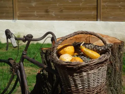Nourriture dans le B&B/chambre d'hôtes ou à proximité
