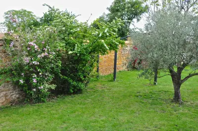 Jardin de l'établissement Le Clos du Cher en Beaujolais